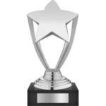 Silver pehar